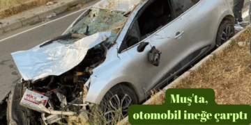 Muş’ta, otomobil ineğe çarptı!