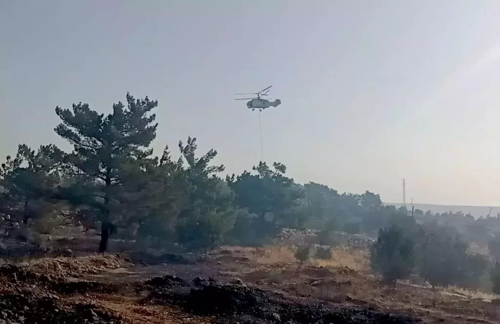 orman yangini habermeydan
