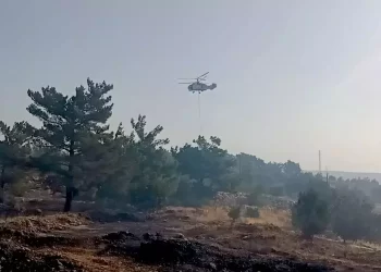 Ankara’da Eymir Gölü çevresinde orman yangını