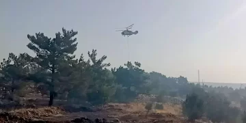 Ankara’da Eymir Gölü çevresinde orman yangını