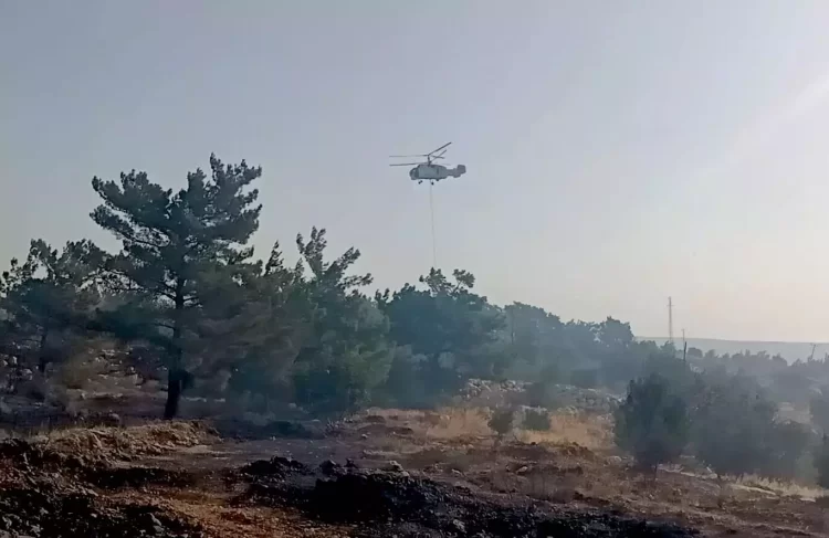 Ankara'da Eymir Gölü çevresindeki ormanlık alanda yangın başladı. Ekipler yangına müdahale etmeye devam ediyor.