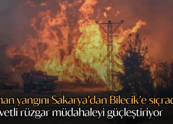 Orman yangını Sakarya’dan Bilecik’e sıçradı: Kuvvetli rüzgar müdahaleyi güçleştiriyor