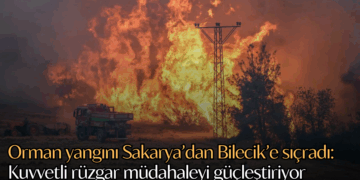Orman yangını Sakarya’dan Bilecik’e sıçradı: Kuvvetli rüzgar müdahaleyi güçleştiriyor