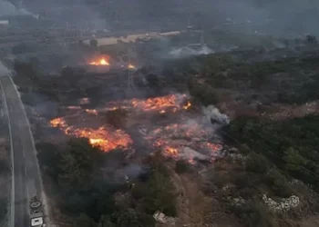 Ülkemiz genelinde meydana gelen orman yangınlarına ilişkin son durum hakkında bilgilendirme