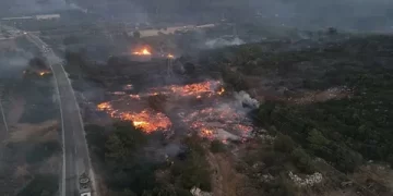 Ülkemiz genelinde meydana gelen orman yangınlarına ilişkin son durum hakkında bilgilendirme