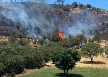 Bakan Yumaklı orman yangınlarına karşı uyardı!