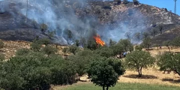 Bakan Yumaklı orman yangınlarına karşı uyardı!