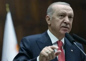 Cumhurbaşkanı Erdoğan’dan orman yangınlarıyla mücadele mesajı