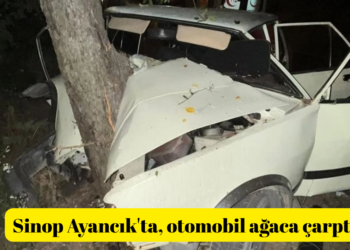 Sinop Ayancık’ta, virajı alamayan otomobil ağaca çarptı!