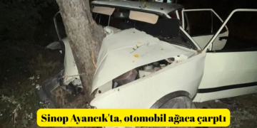 Sinop Ayancık’ta, virajı alamayan otomobil ağaca çarptı!