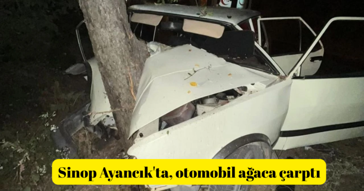 sinop ayancikta viraji alamayan otomobil agaca carpti habermeydan