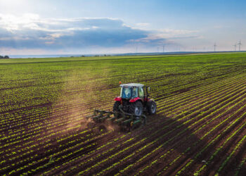 Türkiye’den tarımsal hasılada rekor! Dünyada ilk 7 ülke arasında
