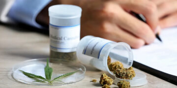 Meclis onayladı: Tıbbi kenevir eczanelerde satışa sunulacak