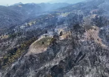 Bakan Yumaklı duyurdu! İzmir, Manisa, Bilecik’in bazı ilçelerindeki yangınlar kontrol altında