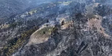 Bakan Yumaklı duyurdu! İzmir, Manisa, Bilecik’in bazı ilçelerindeki yangınlar kontrol altında