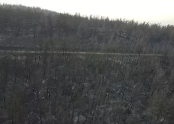 Çanakkale’de yangının bıraktığı tahribat havadan görüntülendi!