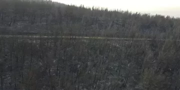 Çanakkale’de yangının bıraktığı tahribat havadan görüntülendi!