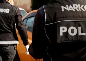 İstanbul’da 75 Kg SKUNK Uyuşturucu Maddesi Ele Geçirildi