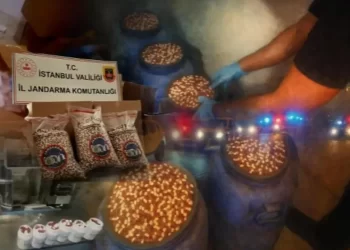 7 Milyon 896 Bin Adet Uyuşturucu Hap İle 63 Kg Ham Madde Ele Geçirildi