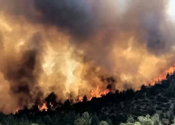 Mersin ve Çanakkale’de orman yangını! Ekipler bölgeye gönderildi