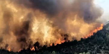 Mersin ve Çanakkale’de orman yangını! Ekipler bölgeye gönderildi