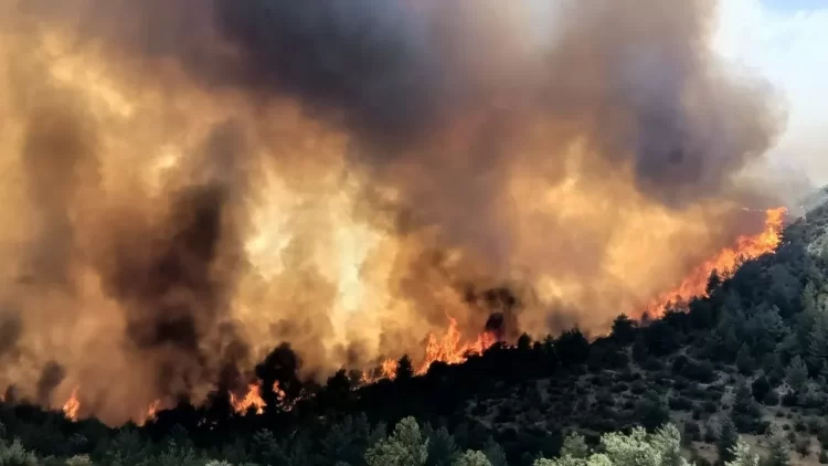 Mersin’in Silifke ilçesinde 3 farklı noktada orman yangını başladı. Bölgeye çok sayıda yangın söndürme ekibi yönlendirildi. Öte yandan, Çanakkale’den de bir orman yangını haberi geldi.