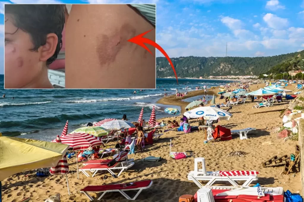 denize giren kasiniyor habermeydan