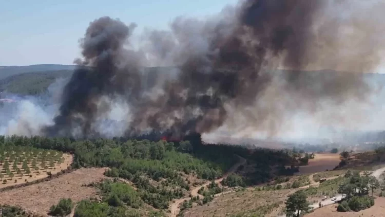 Saat 13.45 sıralarında Denizgöründü Köyü’nde çıkan yangına ekipler müdahale etmeye başladı. Yöre halkı, aynı bölgede üç farklı noktada yangın çıktığını belirterek, bunun sabotaj olabileceğini iddia etti.