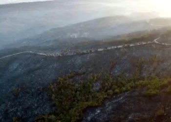 Çanakkale Gelibolu’daki yangın söndürüldü