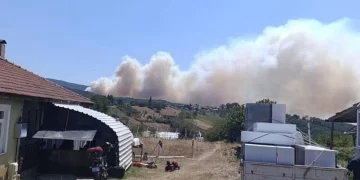 Kocaeli’de orman yangını