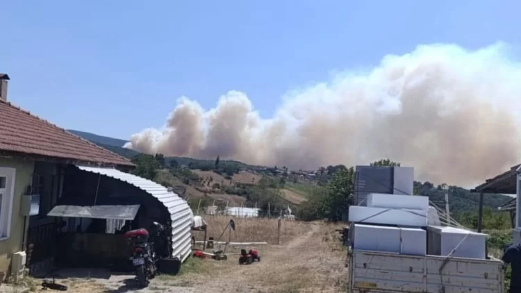 Kocaeli’nin Karamürsel ilçesinde saat 13.00 civarında orman yangını başladı.