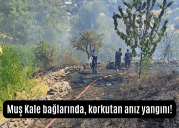 Muş Kale bağlarında, korkutan anız yangını!