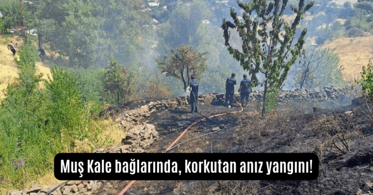 mus kale baglarinda korkutan aniz yangini habermeydan