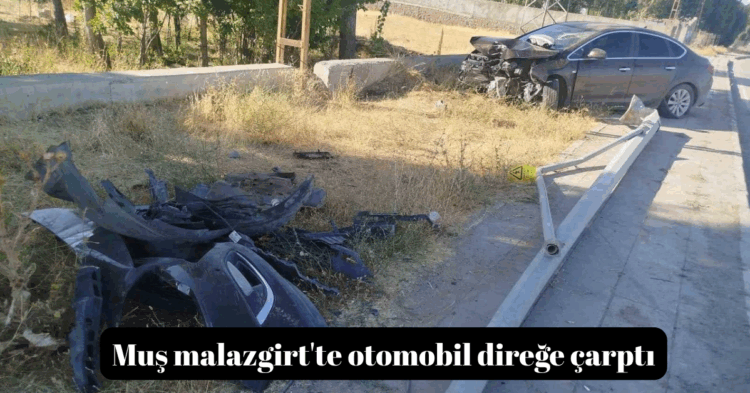 mus malazgirtte direge carpan otomobilin surucusu yaralandi habermeydan