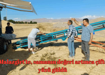 Muş Malazgirt’te, bu yıl samanın değeri artınca çiftçinin yüzü güldü!