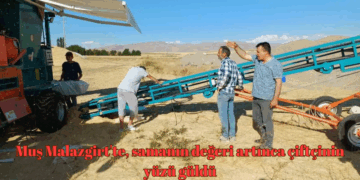 Muş Malazgirt’te, bu yıl samanın değeri artınca çiftçinin yüzü güldü!