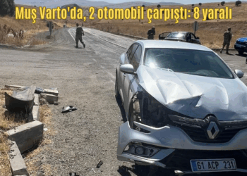 Muş Varto’da, 2 otomobil çarpıştı: 8 yaralı