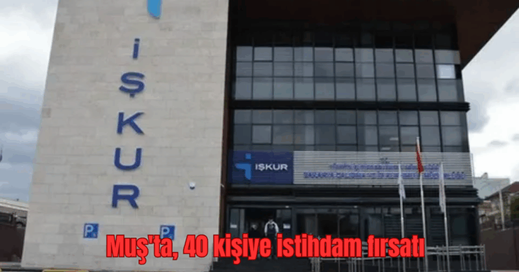 musta 40 kisiye istihdam firsati habermeydan