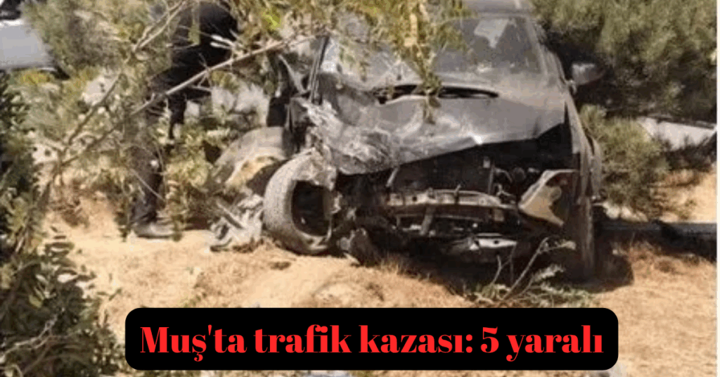 musta trafik kazasi 5 yarali habermeydan