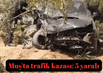 Muş’ta trafik kazası: 5 yaralı