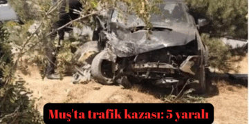 Muş’ta trafik kazası: 5 yaralı