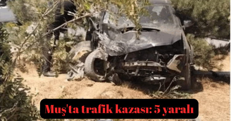 musta trafik kazasi 5 yarali habermeydan