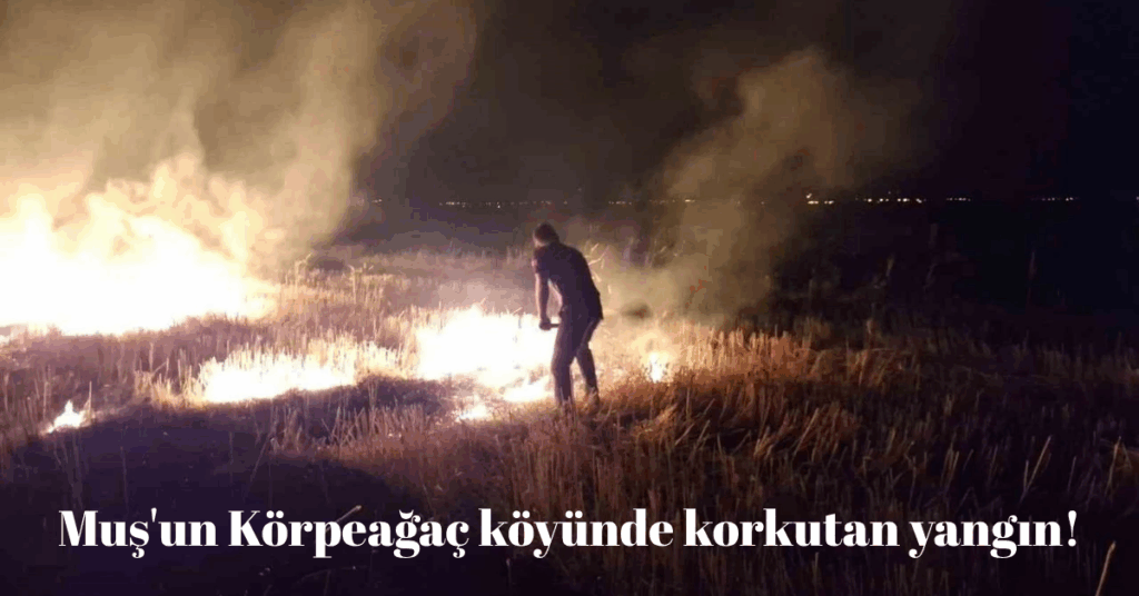 musun korpeagac koyunde korkutan yangin habermeydan