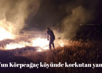 Muş’un Körpeağaç köyünde korkutan yangın!