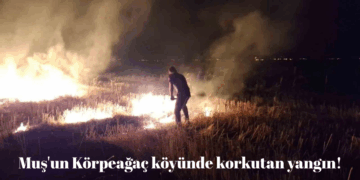 Muş’un Körpeağaç köyünde korkutan yangın!