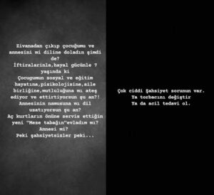 ozcan Deniz agabeyinden Feyza Aktan DNA testi iddiasi1 habermeydan