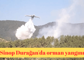 Sinop Durağan’da orman yangını!