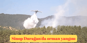 Sinop Durağan’da orman yangını!
