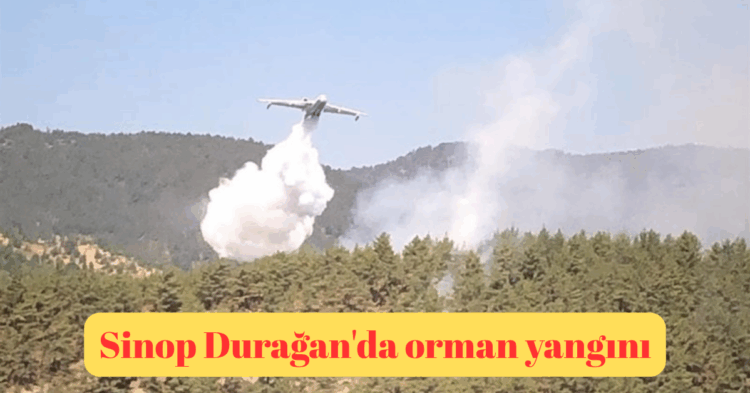sinop duraganda orman yangini habermeydan