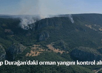 Sinop Durağan’daki orman yangını kontrol altına alındı!